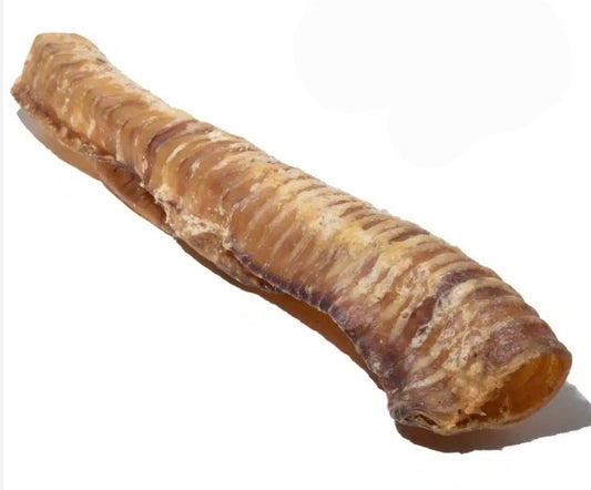 12" Beef Trachea